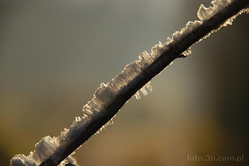 winter; hoarfrost