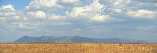 Africa; Tanzania; Serengeti