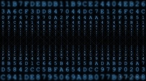 abstraction; technology; hacker; cipher; encryption; rebus; enigma; Internet; computer; code; program; program code; machine code; binary code; hexadecimal code; mystery; monitor; characters on the monitor; blue signs; glow