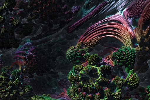 abstraction; fractal; coral; reef; coral reef