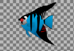 0033-2001; 297 x 210 pix; fish, scalar