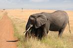 Africa; Kenya; elephant; savannah; road