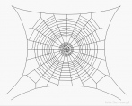 spider's web; cobweb
