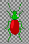 insect; beetle