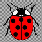 0053-1100; 142 x 150 pix; insect, beetle, ladybug