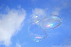 0223-0500; 3260 x 2183 pix; soap bubble, sky