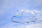 soap bubble; sky