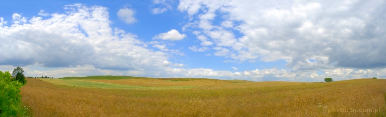 country; field; clouds; horizon
