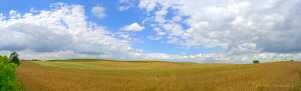 0345-0100; 9672 x 2942 pix; country, field, clouds, horizon