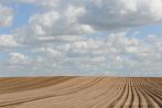 country; field; ridge; soil; clouds; horizon