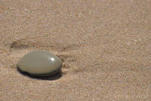 beach; sand; stone