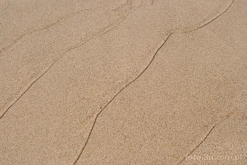 beach; sand