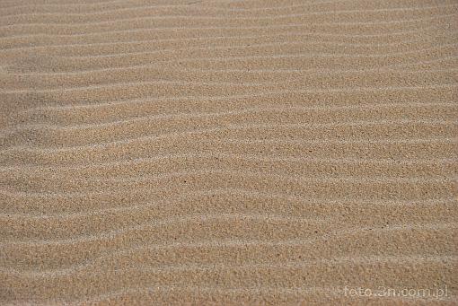 beach; sand