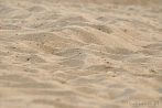 0378-0114; 3872 x 2592 pix; beach, sand