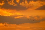 0393-0704; 3872 x 2592 pix; sunset, clouds