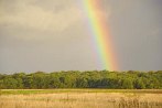 rainbow; meadow; field; grass; cloud; sky