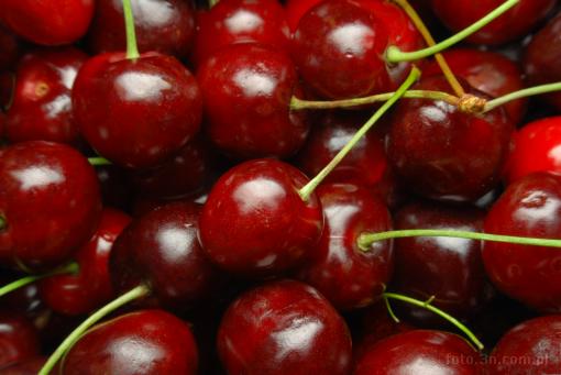 fruit; cherry