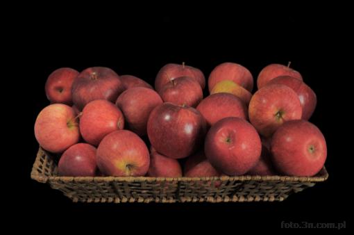 fruit; apple
