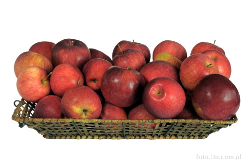 fruit; apple