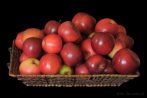 0620-0500; 4155 x 2759 pix; fruit, apple