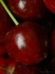 0620-0412; 2584 x 3445 pix; fruit, cherry