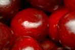 0620-0422; 3872 x 2592 pix; fruit, cherry