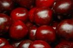 0620-0440; 3872 x 2592 pix; fruit, cherry