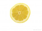 fruit; lemon