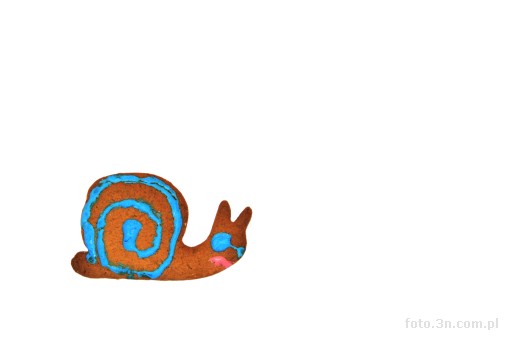 gingerbread; snail