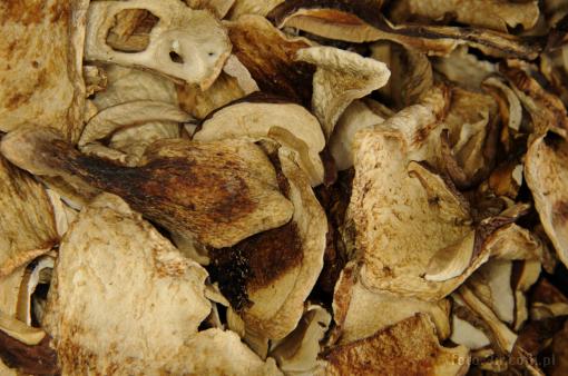 mushroom; dried mushroom