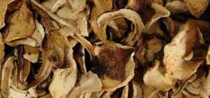 mushroom; dried mushroom