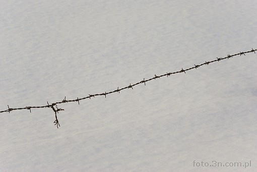winter; snow; barbed wire