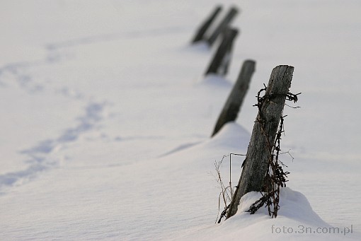 winter; snow; barbed wire; beam