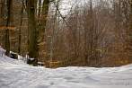 0910-1050; 3639 x 2435 pix; winter, snow, forest, tree, road, way, path, pathway