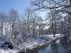 0910-0552; 3648 x 2736 pix; winter, tree, snow, river