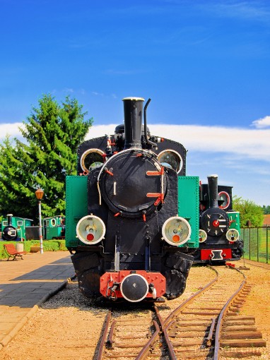 Europe; Poland; Wenecja; Narrow-gauge Railway Museum; locomotive; narrow-gauge railway