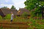 Europe; Poland; Wdzydze; Museum in Wdzydze; rich peasant's farmyard from Skorzewo built in the first half of 19th c.