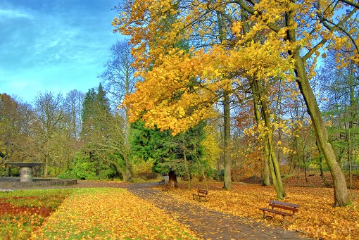 Europe; Poland; Koszalin; park; autumn
