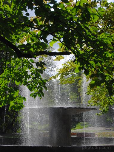 Koszalin; fountain; park; tree; water; Europe; Poland