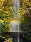 1130-0130; 1932 x 2576 pix; Europe, Poland, Koszalin, fountain, rainbow, park, tree, water