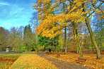 1130-0075; 3715 x 2487 pix; Europe, Poland, Koszalin, park, autumn