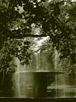 1130-0134; 2589 x 3452 pix; Koszalin, fountain, park, tree, water, Europe, Poland