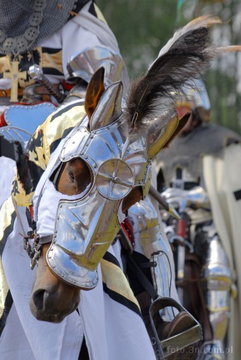 Europe; Poland;  staging of the Battle of Grunwald  in July 2008; Grunwald; knight; armour; visor; horse; battle