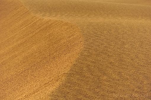 Asia; India; desert; Thar desert; Thar; dune; sand