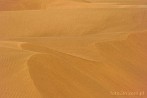 1BBG-0110; 4288 x 2848 pix; Asia, India, desert, Thar desert, Thar, dune, sand