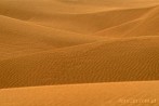 1BBG-0124; 4288 x 2848 pix; Asia, India, desert, Thar desert, Thar, dune, sand