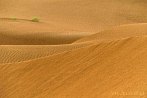 1BBG-0125; 4288 x 2848 pix; Asia, India, desert, Thar desert, Thar, dune, sand