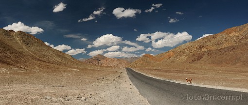 Asia; India; Himalaya; mountains; road; desert; desolation