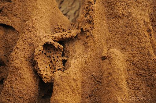 Asia; Nepal; Chitwan National Park; termite mound