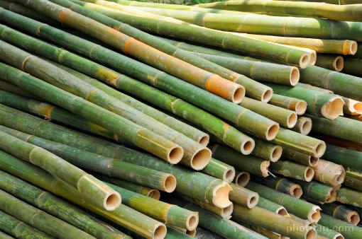 Asia; Malaysia; bamboo; bastinado